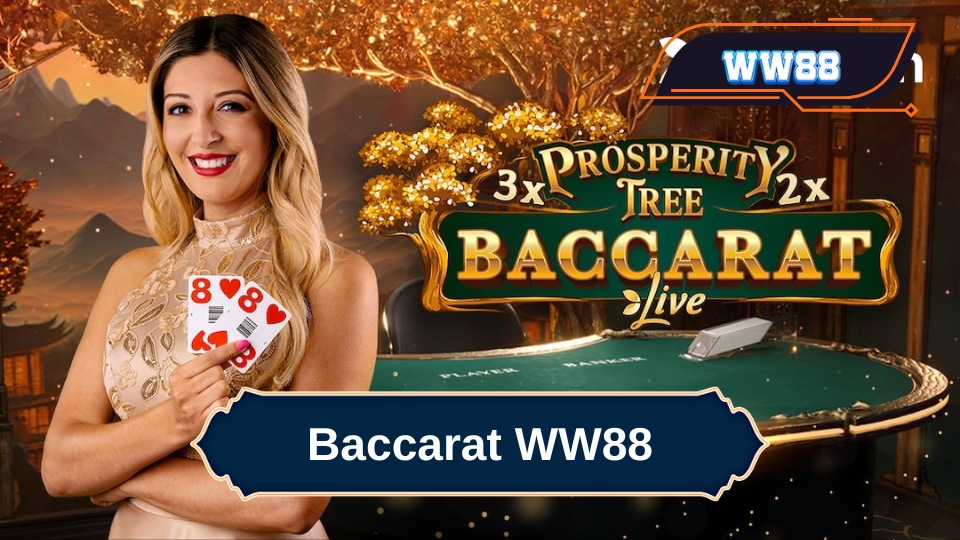 Kinh nghiệm chơi bài baccarat WW88