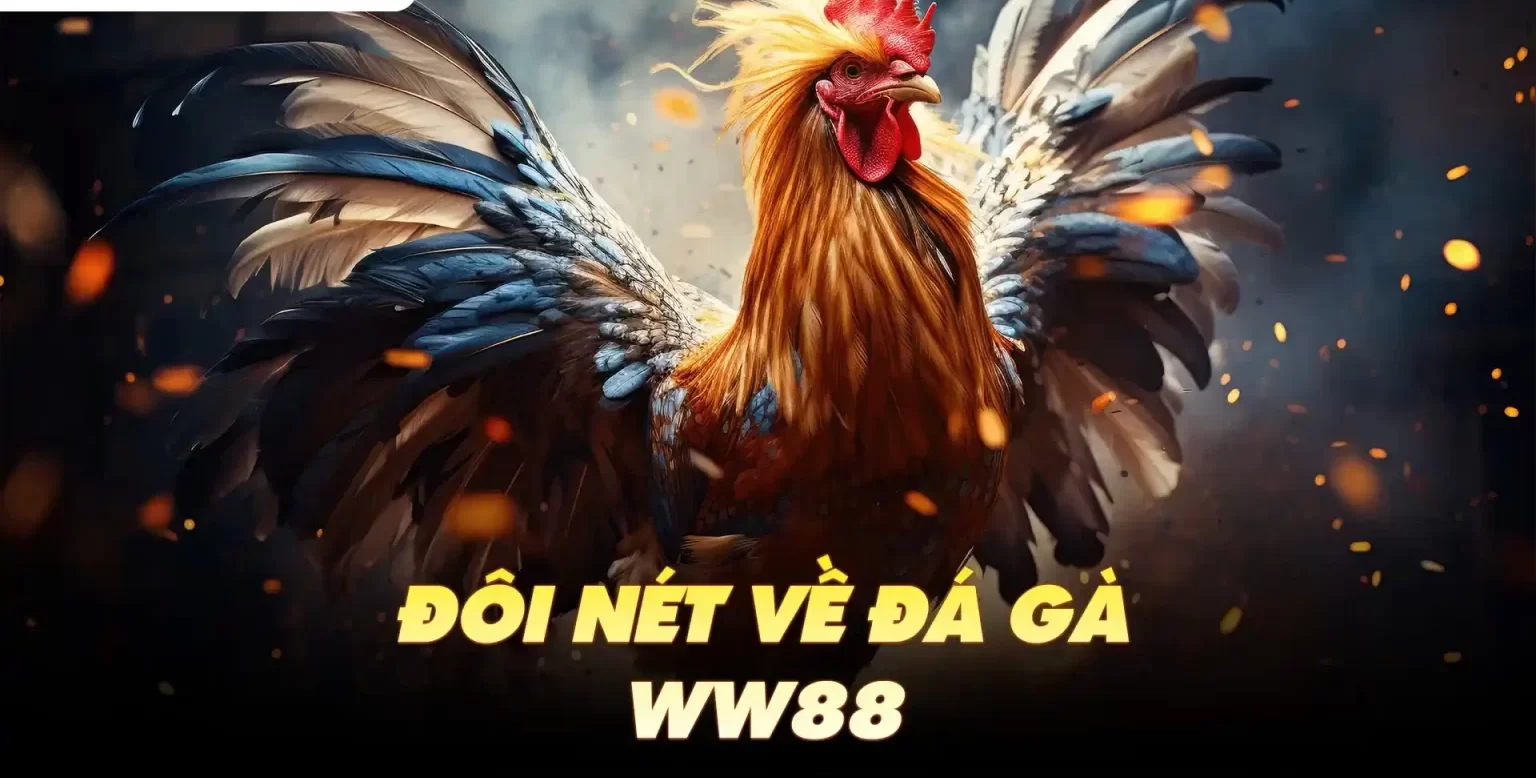 Thông tin về gam đá gà WW88 online ngày nay 